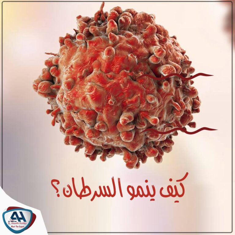 أ.د / علاء الدين حسين